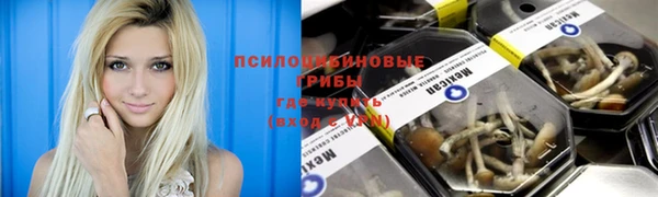 гашиш Богданович