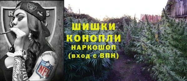 гашиш Богданович