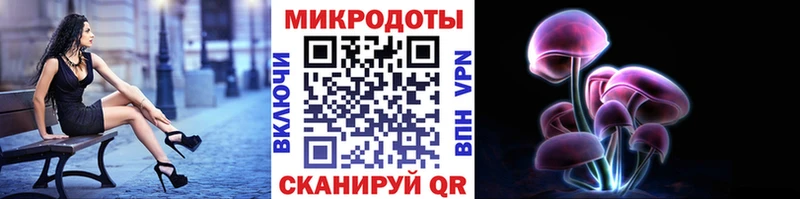 Псилоцибиновые грибы Psilocybe Котельники